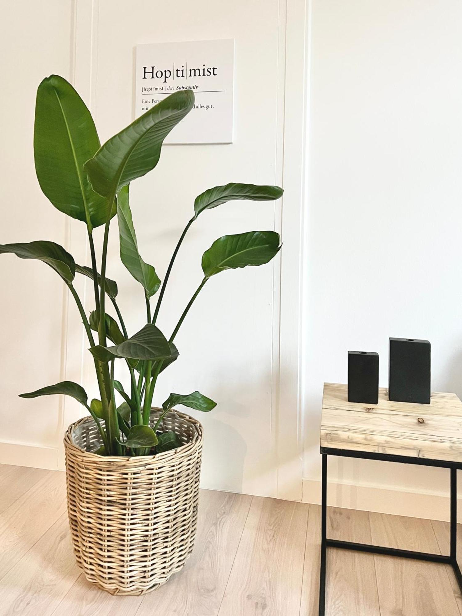 Apartment Makers And 01 Pauline 110qm Parkplatz 1-4 Personen *